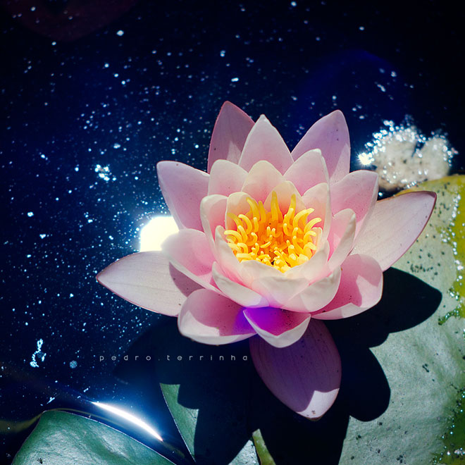 beatiful-dream-colorful-pedro-terrinha-photography